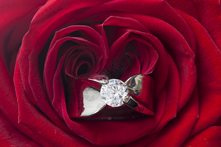 玫瑰和结婚戒指仪式庆典珍珠纪念日礼物盒周年热情婚礼浪漫宝石图片