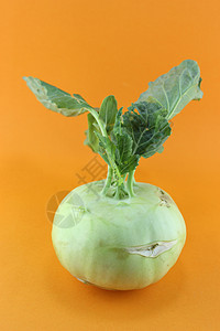 菜 可拉比厨房收成食物维生素植物地面营养市场美食烹饪图片