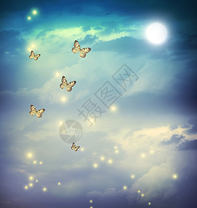 在梦幻月光的美景中的蝴蝶高清图片