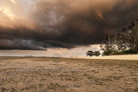 海洋日落时正在酿成的暴风雨阳光海滩风景海草假期季节海岸线钓鱼金子天气图片