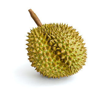 Durian 东南亚水果之王 在背景之下热带异国味道橙子情调食物尖刺阴影饮食榴莲图片
