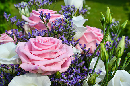粉红玫瑰礼物白色粉色花瓣绿色花园庆典花束美丽植物群图片