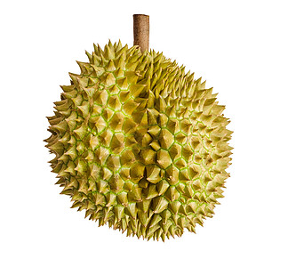 Durian 东南亚水果之王 在背景之下情调阴影饮食热带异国食物荆棘橙子营养味道图片