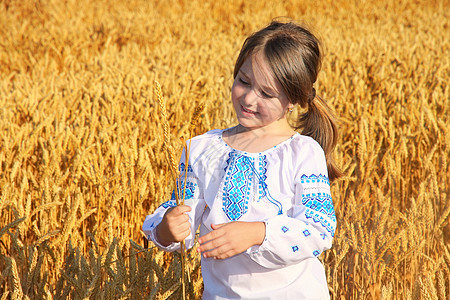 小麦田小农村女童国家稻草收成谷物草地季节粮食孩子蓝色村庄图片