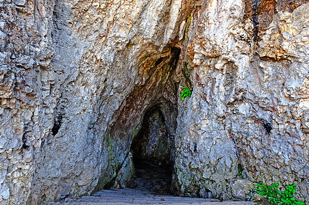 入口入境地球植物岩石地质洞穴学考古学石窟绿色阴影地标图片