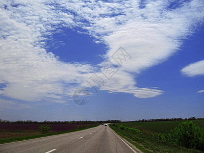 宽高速公路和绿草地 夏季旅行木头天空天气蓝色森林速度驾驶运输季节小路图片