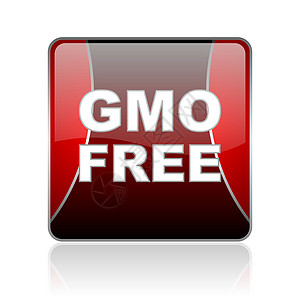 gmo 免费红方网站光亮图标钥匙正方形食物玉米控制环境质量标识饮食互联网图片