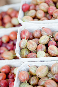 在户外市场上闭门登场 新鲜美味果莓醋栗食物花园植物宏观营养维生素饮食蔬菜生物图片