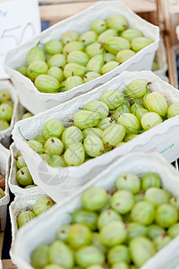 在户外市场上闭门登场 新鲜美味果莓季节食物市场维生素生物植物收藏花园醋栗浆果图片