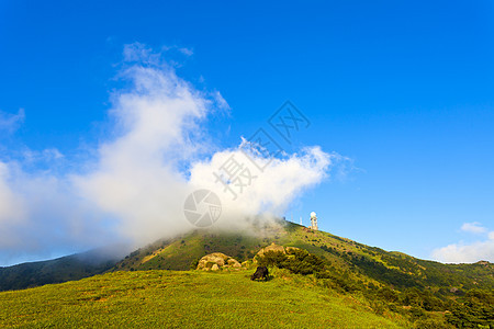 香港的山地景观美丽松树全景针叶天空场景旅行地面风景假期图片