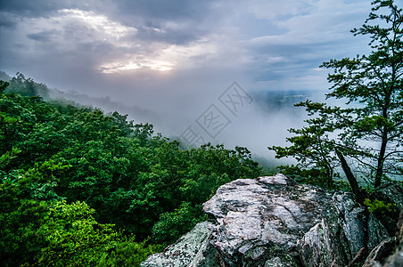 有云雾的山上观望着天空环境阳光照射丛林爬坡树木阳光风景森林蓝色图片
