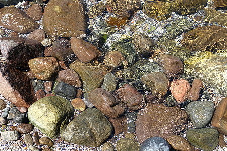 海滩上有湿石块图片
