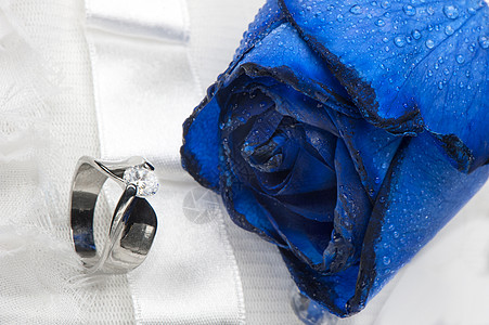 玫瑰和结婚戒指浪漫水晶礼物盒展示联盟珠宝珠宝商蜜月礼物周年图片