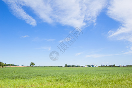 蓝蓝天空风景农业晴天农场绿色乡村场地森林蓝色草地图片