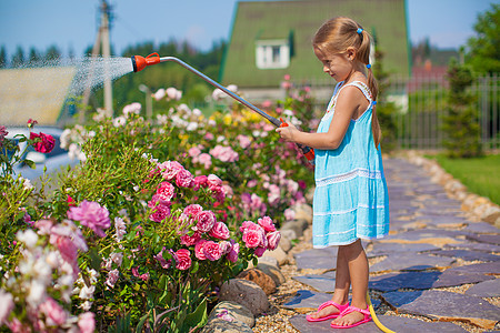 穿蓝裙子的可爱女孩 在花园里用水管浇花叶子生长植物学软管植物紫色爱好场地孩子金发图片