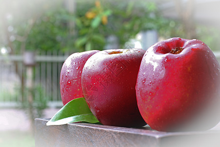 木头上三个苹果食物花园团体甜点艺术季节叶子营养桌子水果图片