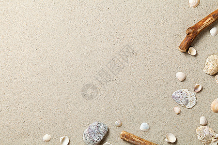 沙沙背景假期沙丘枝条宏观贝壳颗粒状棕色粒子沙漠图片