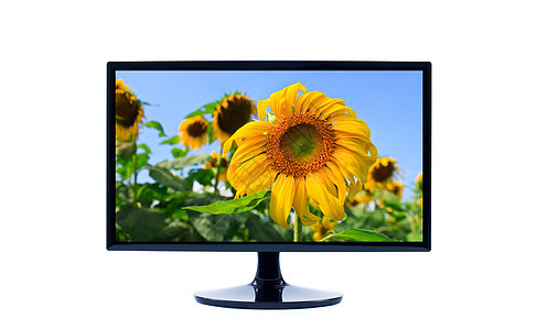 监视器展示向日葵屏幕平面技术电脑电视娱乐背景图片
