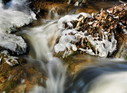 熔雪雪岩石叶子森林植物石头荒野瀑布热带风景运动图片