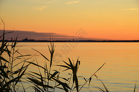 夏夜傍晚土地日出橙子乐趣环境海景天空地平线植物反思图片