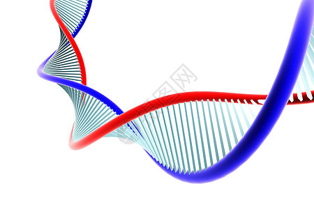 dna 纳液体遗传学细胞生物光线科学化学染色体生物学插图图片