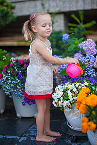 可爱的小女孩 用水晶水浇鲜花叶子院子孩子爱好花园紫色女孩场地园艺生长图片