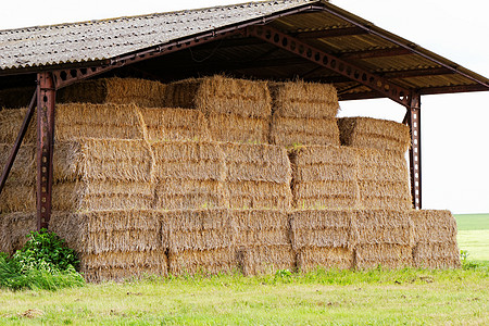 屋顶下面的草叶太阳垃圾粮食稻草植物谷仓金子小屋食物村庄图片