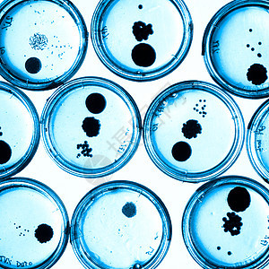 培里迪塞斯的细菌在成长化学实验微生物细菌学平板菌类技术殖民地药品细胞图片