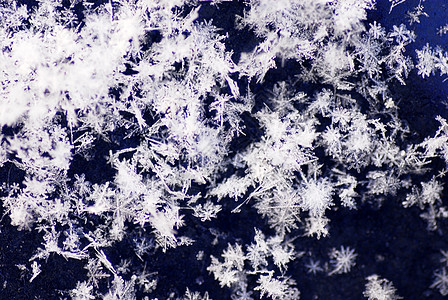 雪花背景季节性水晶白色薄片图片