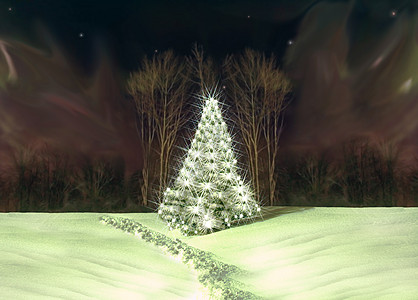 圣诞树假期季节灯泡北极光描写图片
