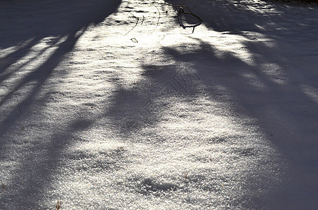 雪蓝色荒野地面日光近距离阳光火花太阳季节雪尘图片