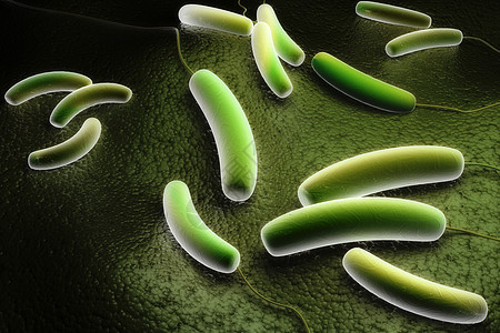 科性细菌电子疾病小宇宙身体微生物科学医疗显微镜寄生虫生物学图片