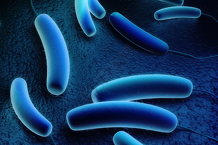 科性细菌电子医疗细胞身体感染微生物生物学疾病显微镜病原图片