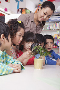 学生们用放大镜看着普林特Plant童年长发好奇心生长蓝色头发盆栽衬衫勘探创造力图片