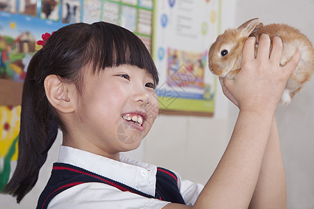 在课堂上养宠物兔子的女学生知识动物学习小学长发手臂校服女孩们动物学摄影图片