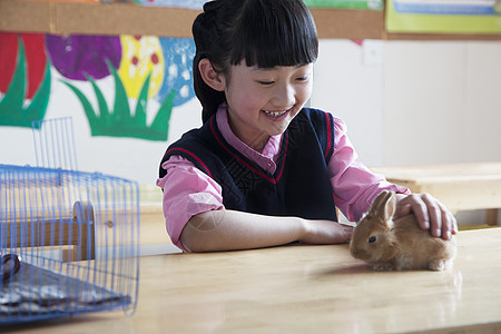 在校女生在课堂上宠物宠物兔子长发知识家畜摄影动物收腰享受桌子动物学校服图片