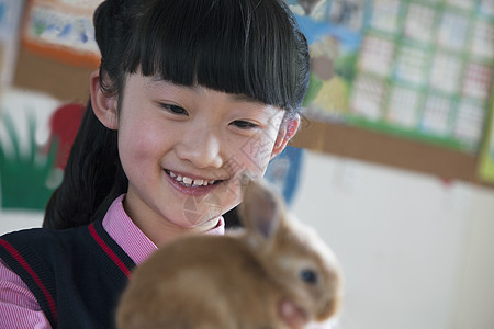 在课堂上养宠物兔子的女学生水平长发摄影微笑知识棕色头发动物小学小学生图片