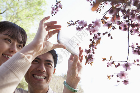 一对微笑的情侣拍了一张 春天在公园外露着樱花的树枝的照片图片