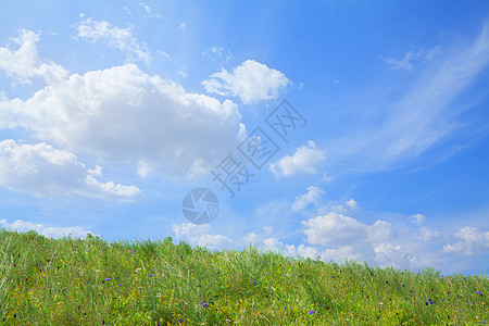 青春 绿色的风景 天空和云彩都是蓝色的环境数字场景地平线野花生长复合水平摄影爬坡图片