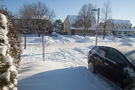 雪雪邻里图片