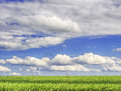 绿草和蓝天空蓝色太阳小麦土地场地牧场场景国家空气自由图片