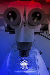 神秘光线下的显微镜图片