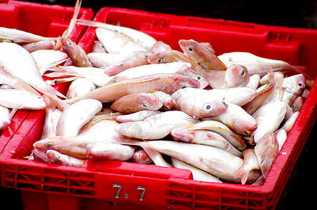 红篮海鱼 渔业概念食物团体产品店铺厨房街道篮子海鲜销售市场图片