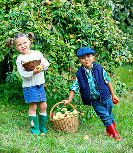 苹果果园的可爱男孩女孩叶子饮食收成篮子食物生产幸福孩子花园图片
