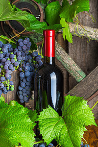 葡萄本底的红酒瓶子场景植物庆典人员食物随行季节酒杯酒精叶子图片