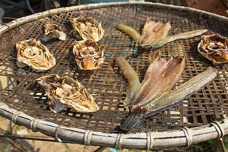 阳光鱼食物旅行地点宠物鱼片干货饮食鱼干背景图片