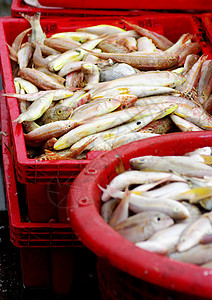 红篮海鱼 渔业概念街道动物食物销售篮子商品厨房渔夫店铺产品图片