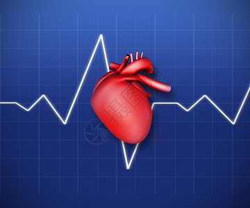 用ECG线直线绘制心脏图图片