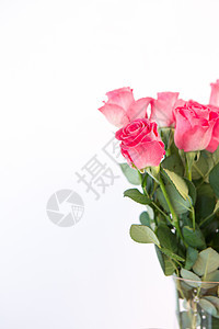花瓶中粉红玫瑰的布束粉色花束花瓣叶子树叶绿色玻璃植物图片