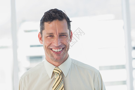 笑笑的商务人士快乐微笑黑发人士领带短发男人商务衬衫男性图片